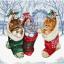 Snowy Kitties