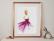 Danseuse dos tutu fuschia