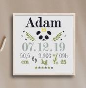 Tableau de naissance Panda