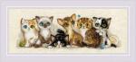 Kittens