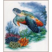 Treasures Undersea