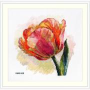 Parrot Tulip