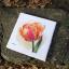 Parrot Tulip