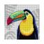 Toucan