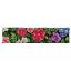 Cushion - Flowers