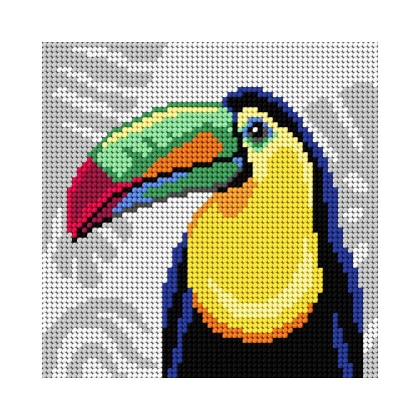 Toucan