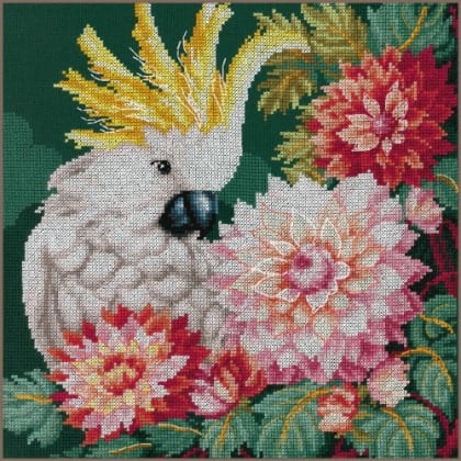 Cockatoo\'s Dahlia