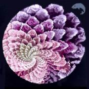 Water Fractal
