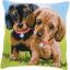 Front Cushion: Dachshunds