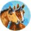 Two Horses
