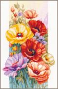 Poppies