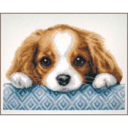 Puppy