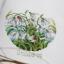 Snowdrops