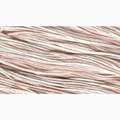 WDW 1098 Queen Anne\'s Lace
