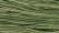 WDW 2195 Grassland