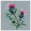 Thistle (Julia Girgel)