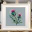 Thistle (Julia Girgel)