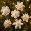 Felt Ornaments Applique Kit - Pearl Snowflakes