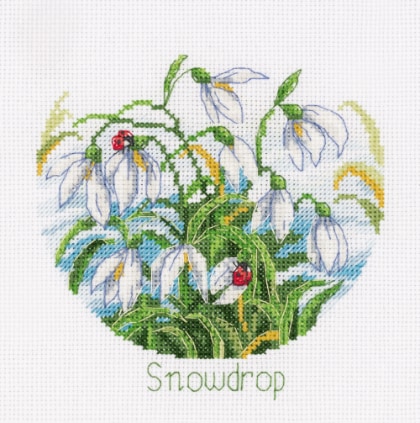 Snowdrops