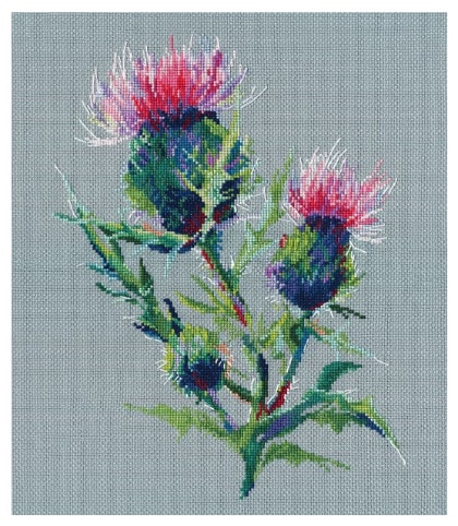 Thistle (Julia Girgel)