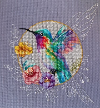 Bird of Paradise
