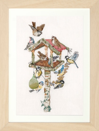 Birds at the Feeder