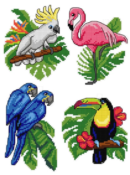 Exotic Birds (4)