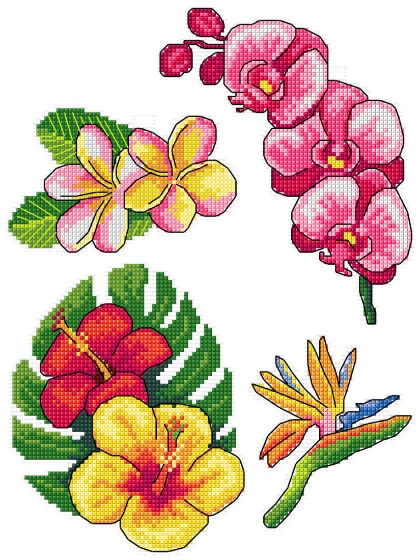 Exotic Flowers (4)