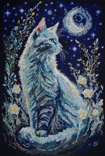 Night Guest
