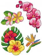 Exotic Flowers (4)