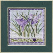 Winter Series - Crocuses