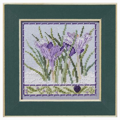 Winter Series - Crocuses