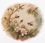 Honey Colors