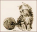 Kitten and his Ball of Yarn