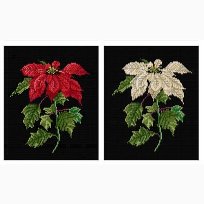 Poinsetia - Black Aida