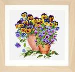 Potted Pansies - Aida