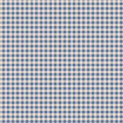 Woven Gingham Blue
