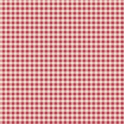Woven Gingham Red