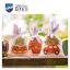 Potpourri bags: Typical Christmas