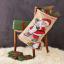 Santa Claus & penguin
