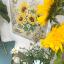 Étude aux tournesols - Linen