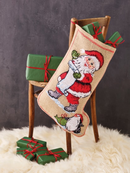 Santa Claus & penguin