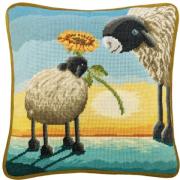 Cushion - Just Because…