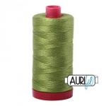 12wt/Large #2888 - Fern Green