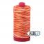 12wt/Large #4657 - Tramonto A Zoagli