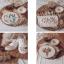 Broderie moderne