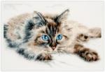 Fluffy Happiness