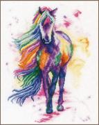 Walk in rainbow colours