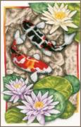 Dance of the koi