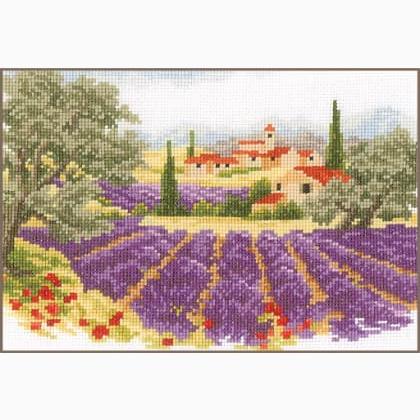 Lavender landscape